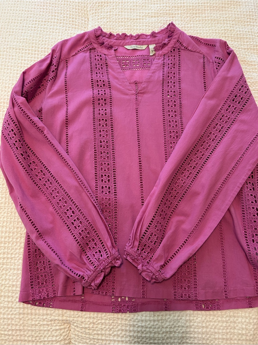 Any Body Eyelet Detail Long-Sleeve Top